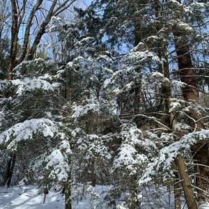 Meet your Posher, Monika